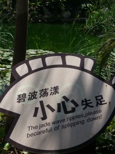 Perhaps lost in translation?