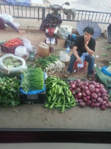 Looks like a typical vegetable market, but picture taken from inside the car window. This went on for miles
