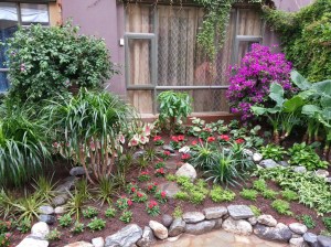 Garden area outside of my bedroom