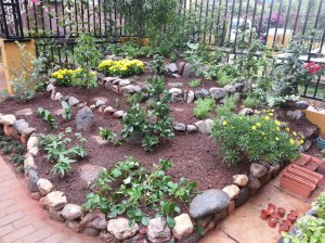 Vegetable and Fruit Section of the garden