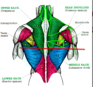 11-10-2013 10-40-16 PM