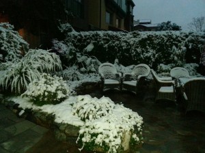 suptropical-snowmorning