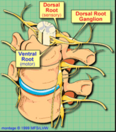6-24-2014 11-39-29 PM